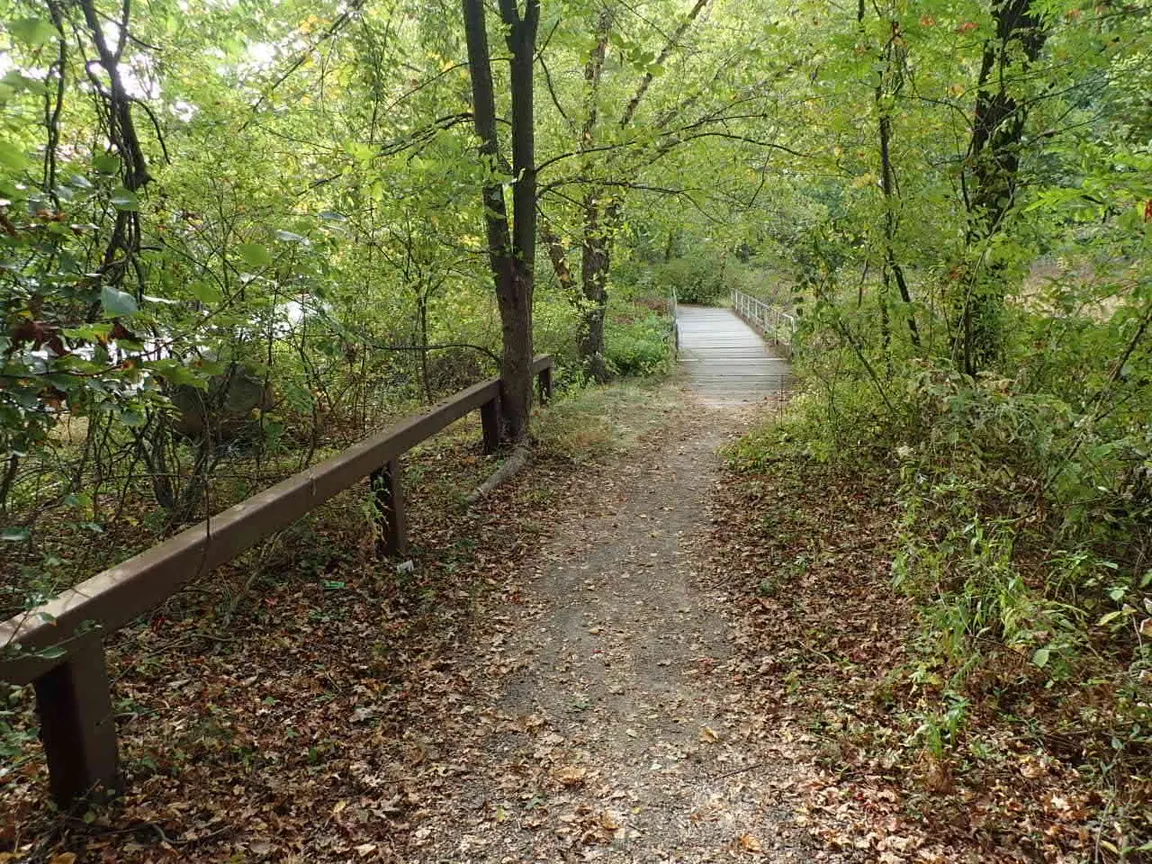 Blue Heron Park
