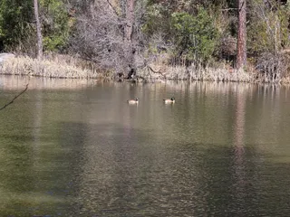 Hirschman's Pond trailhead