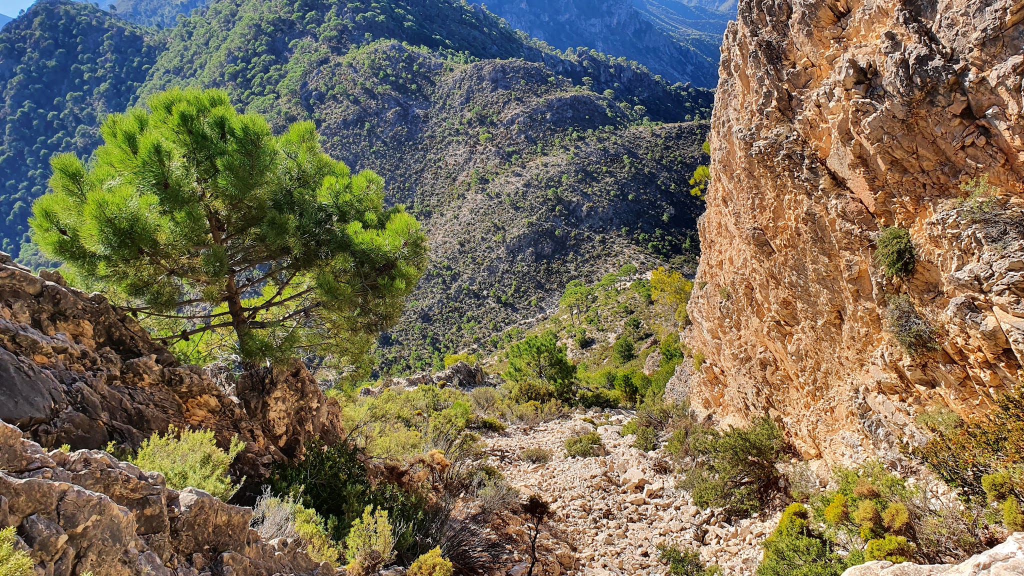 Puerto de los Umbrales Hopsa