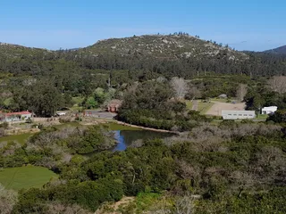 Reserva de Flora y Fauna del Pan de Azúcar