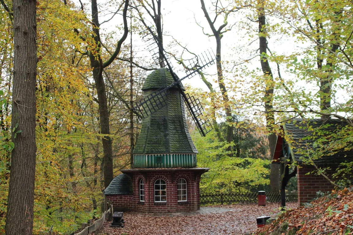 Fairytale forest Altenberg