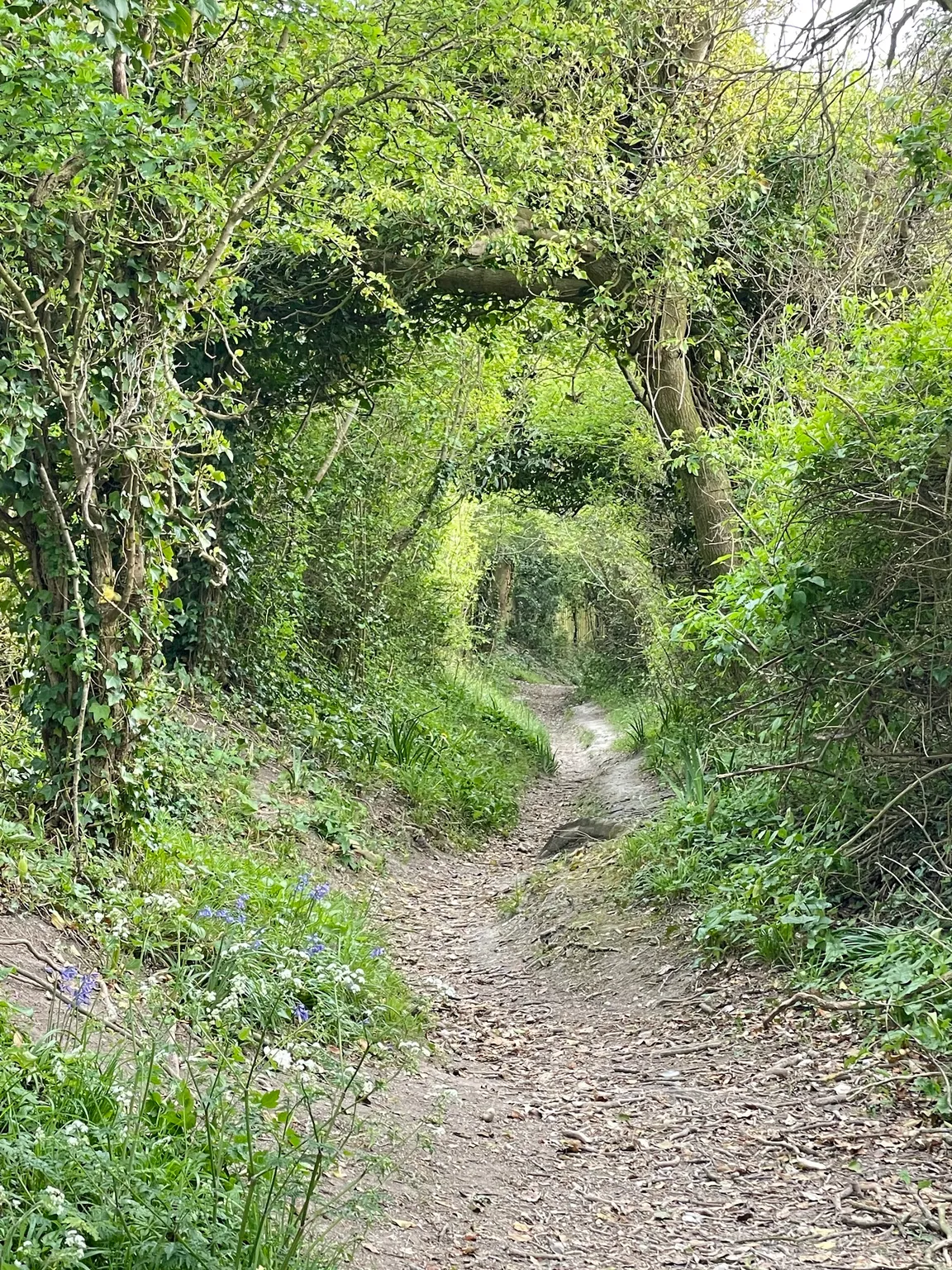 Highdown Hill