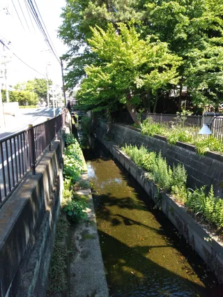 Kaminoge Nature Park