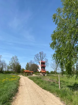 Ścieżka rowerowa na Mikołajki i Ruciane