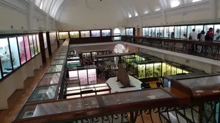 Horniman Market