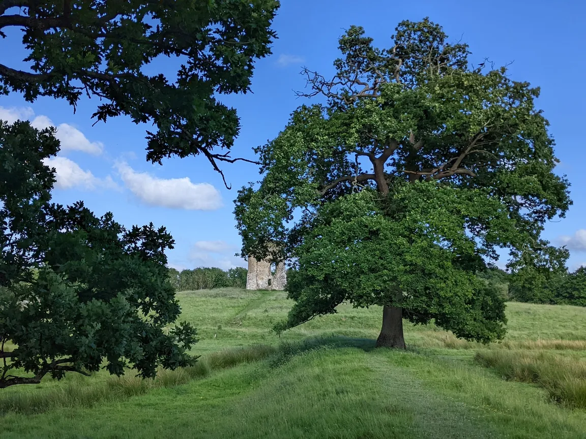 Knepp Castle