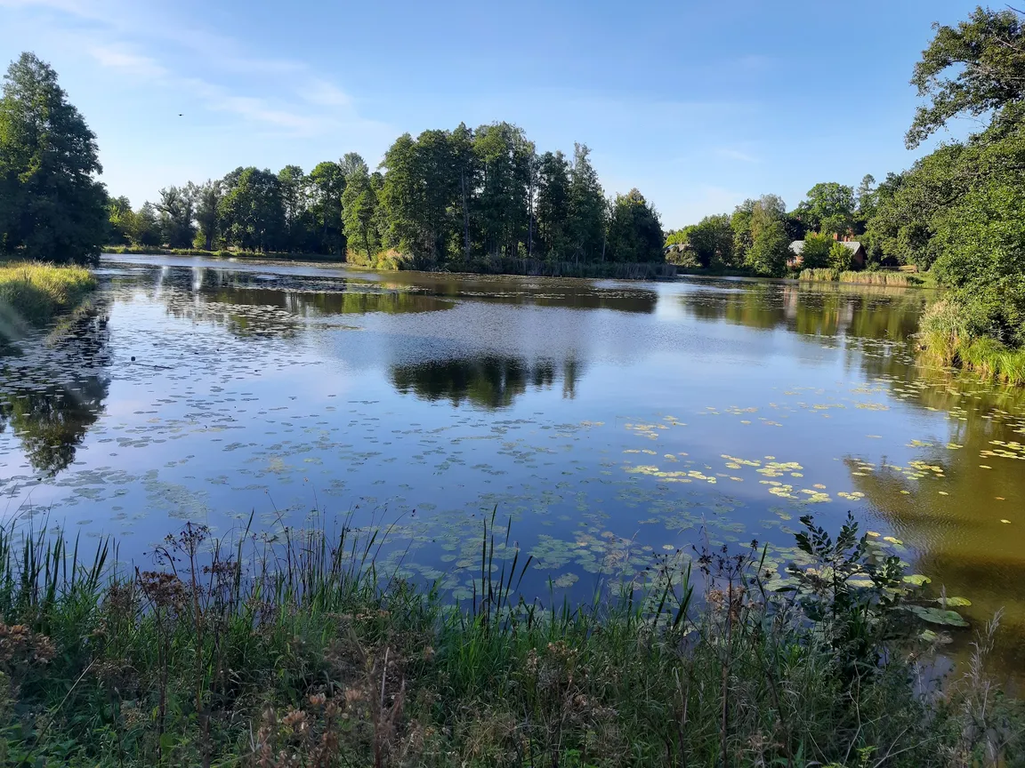 Park Pałacowy w Białowieży
