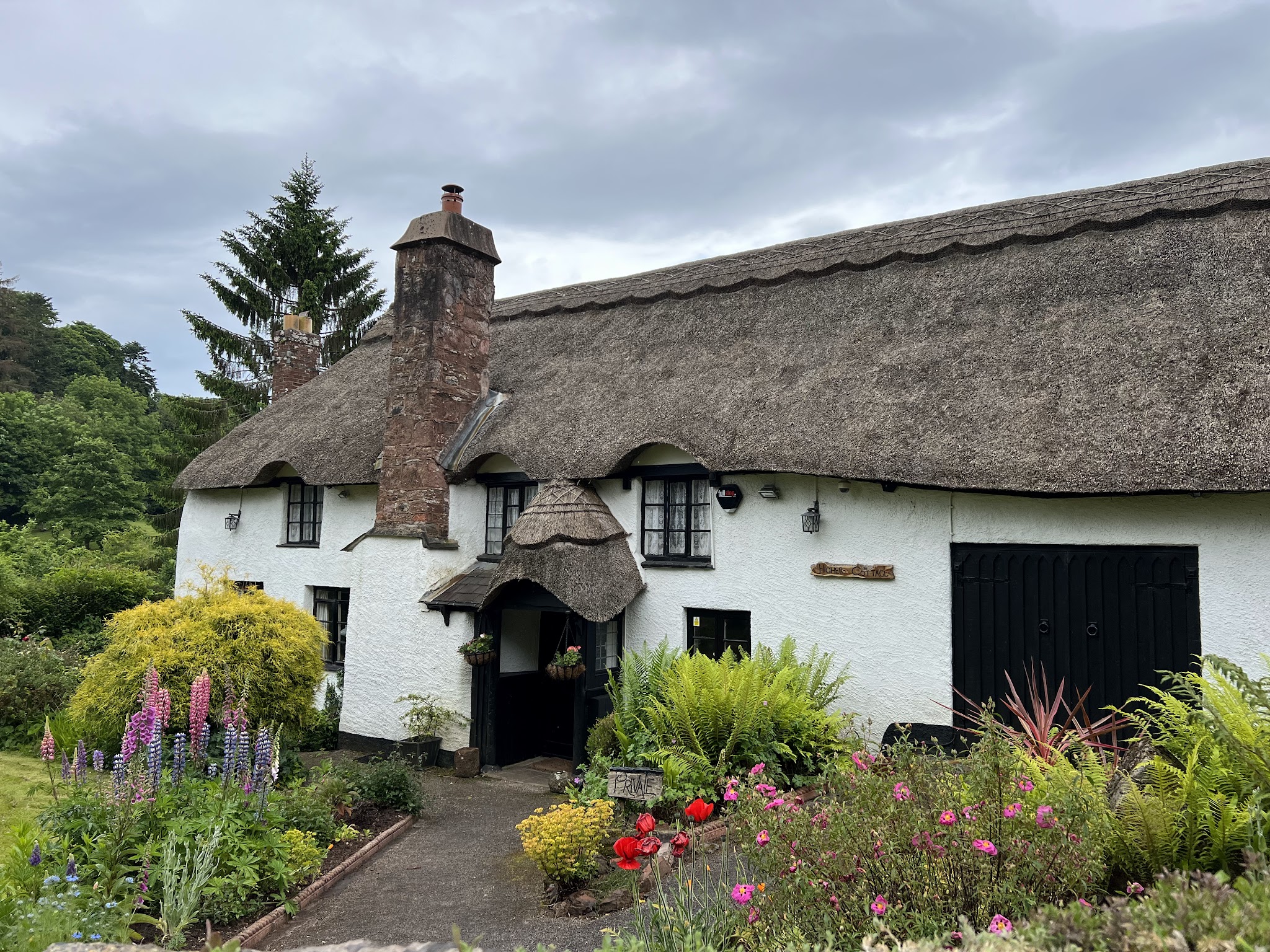 Cockington Country Park | Hopsa