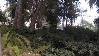 The Forty Four Garden