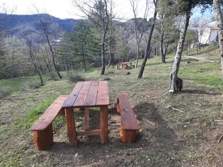 Ficocchia