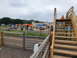 4 Kingdoms Adventure Park & Family Farm