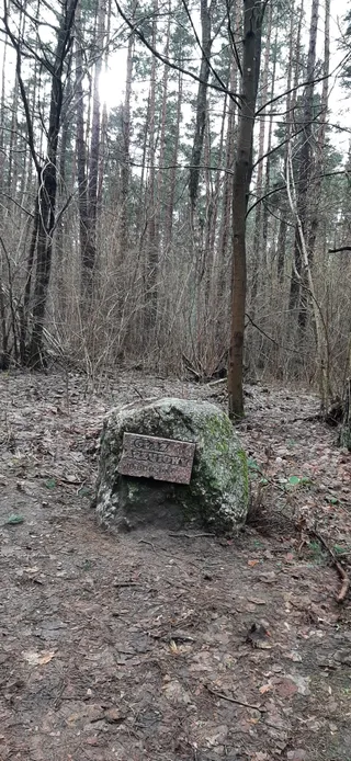 Głaz Narzutowy