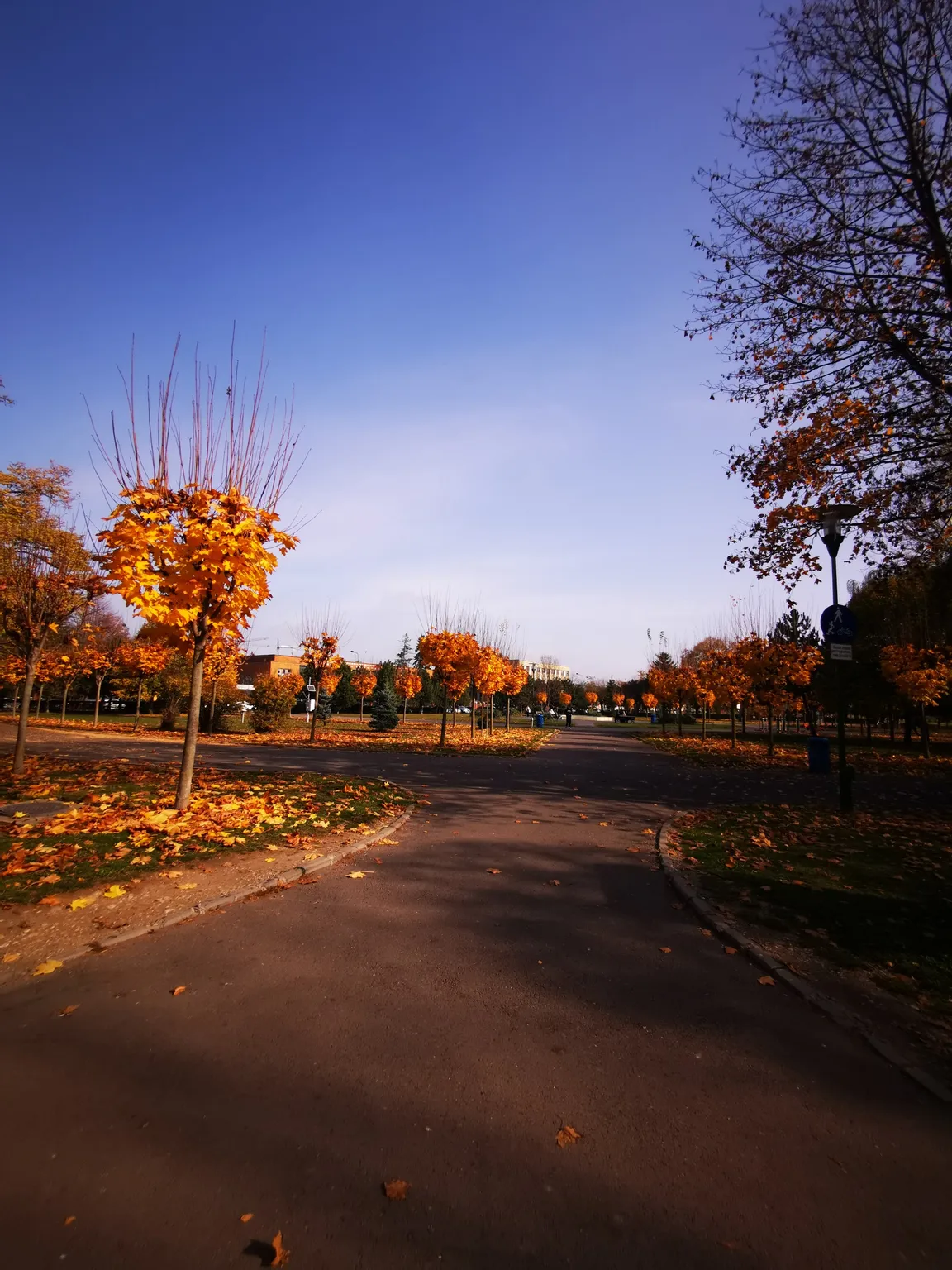 Parcul Sportiv