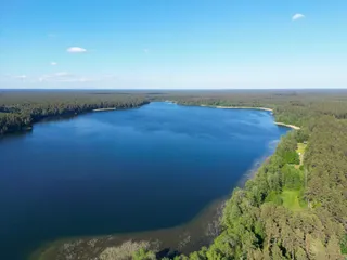 Studzieniczna