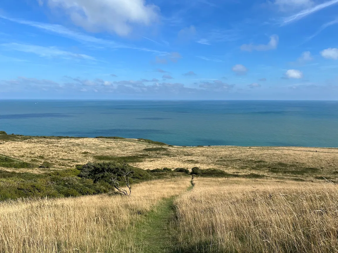 Beachy Head Cliffs