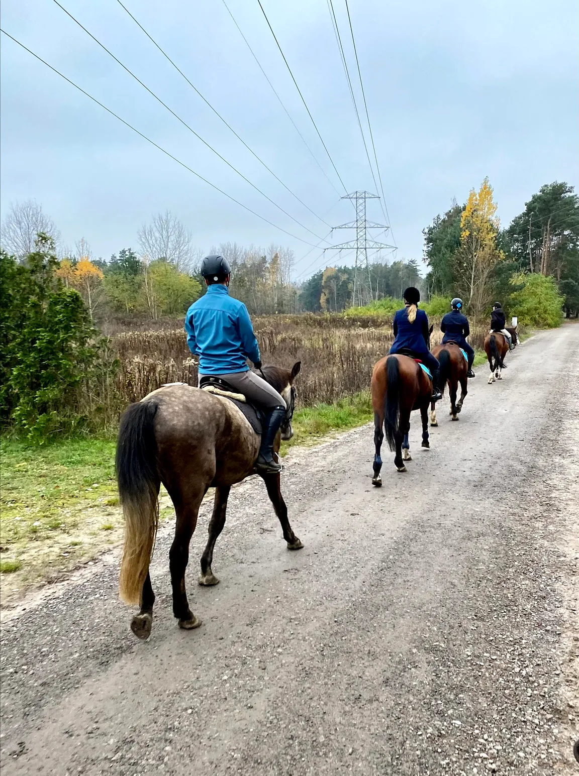 BESTHORSES