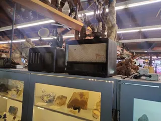 Muzeum Skarbów Ziemi i Morza