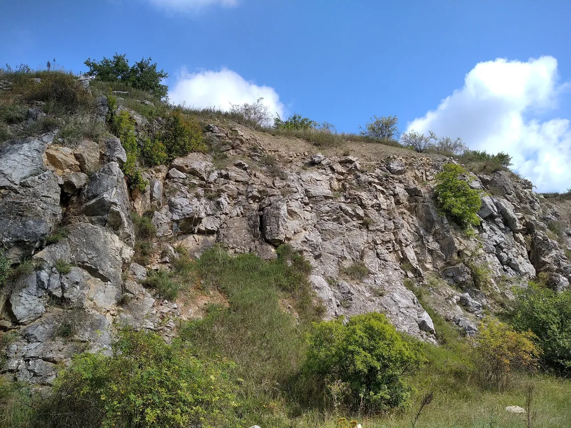Rezerwat Przyrody Wietrznia im. Zbigniewa Rubinowskiego