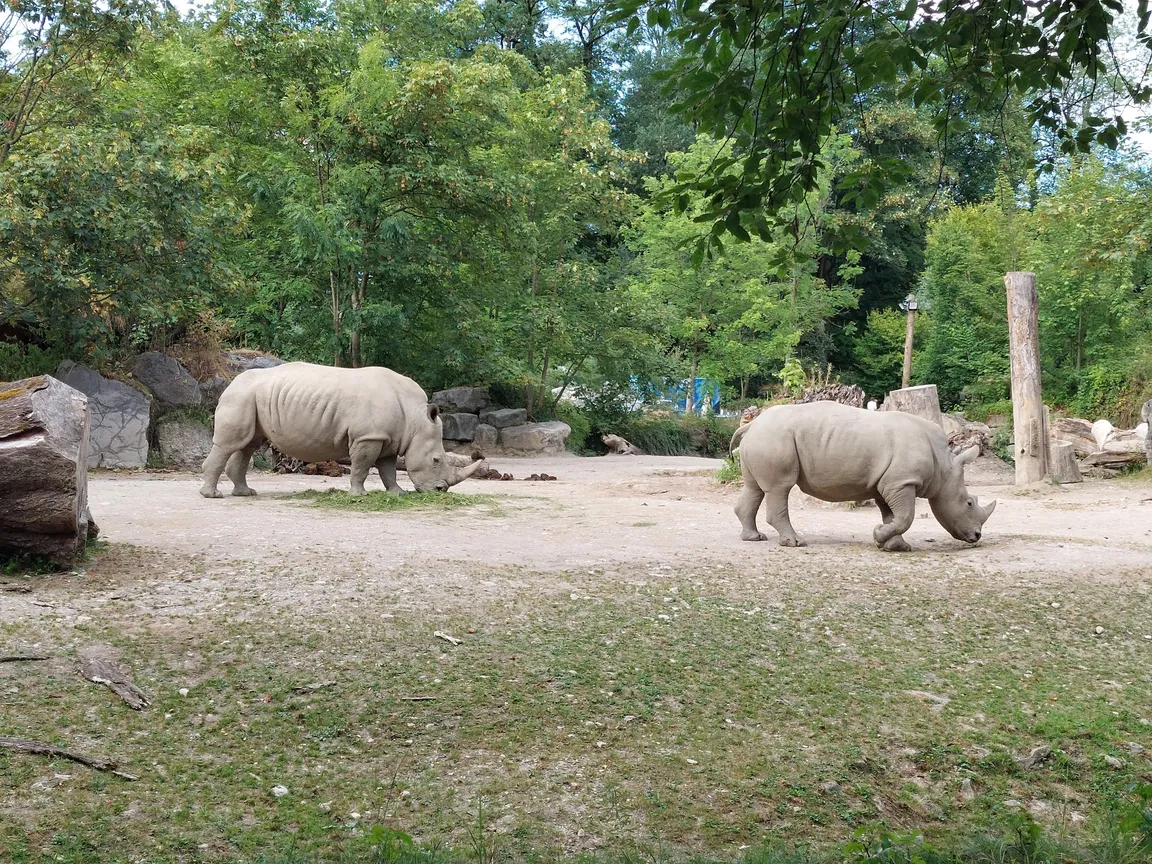 Salzburg Zoo Hellbrunn