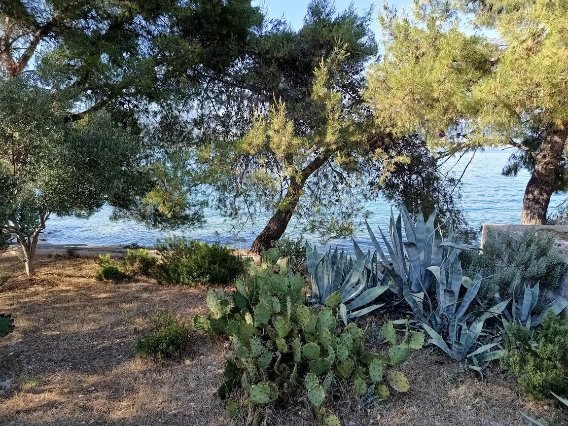 Miševac Beach
