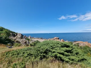 Hovs hallar