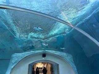 Polk Penguin Conservation Center