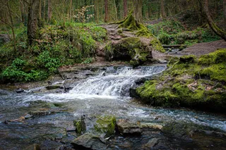 Wepre Park