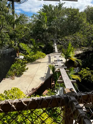 Treetop Trekking Miami