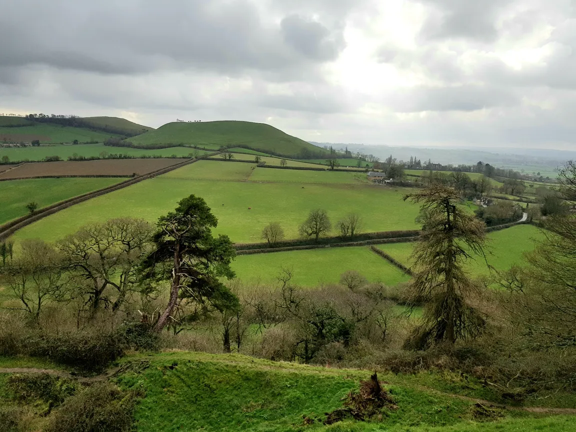Cadbury Hillfort