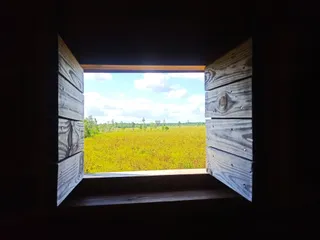 Kładka turystyczna Szuszalewo - Jałowo - Nowy Lipsk