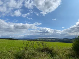 Seitensprung Bärensteig Bernkastel-Kues