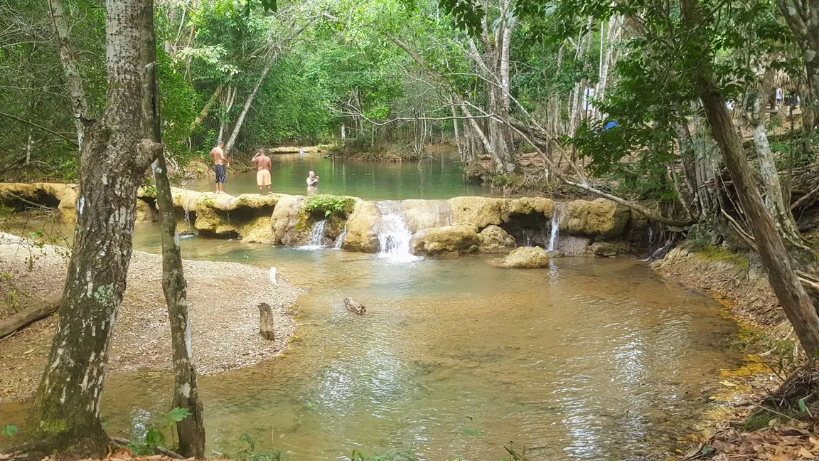 Salto Alto