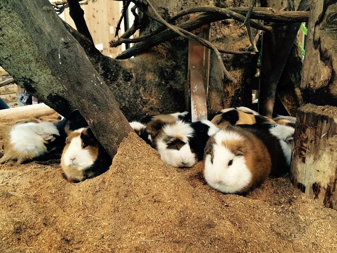 Nagasaki Bio Park