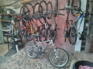 Bike Tours "Pingüinos"