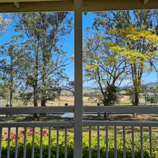 Bunjurgen Estate Vineyard/Cellar Door - Boonah