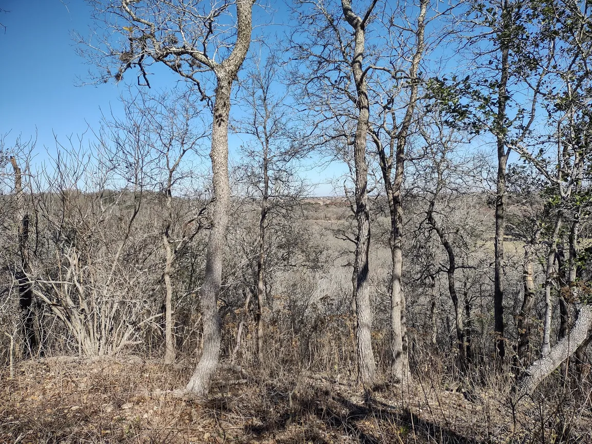 Lockhart State Park