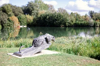 Little Horseshoe Lake Ltd