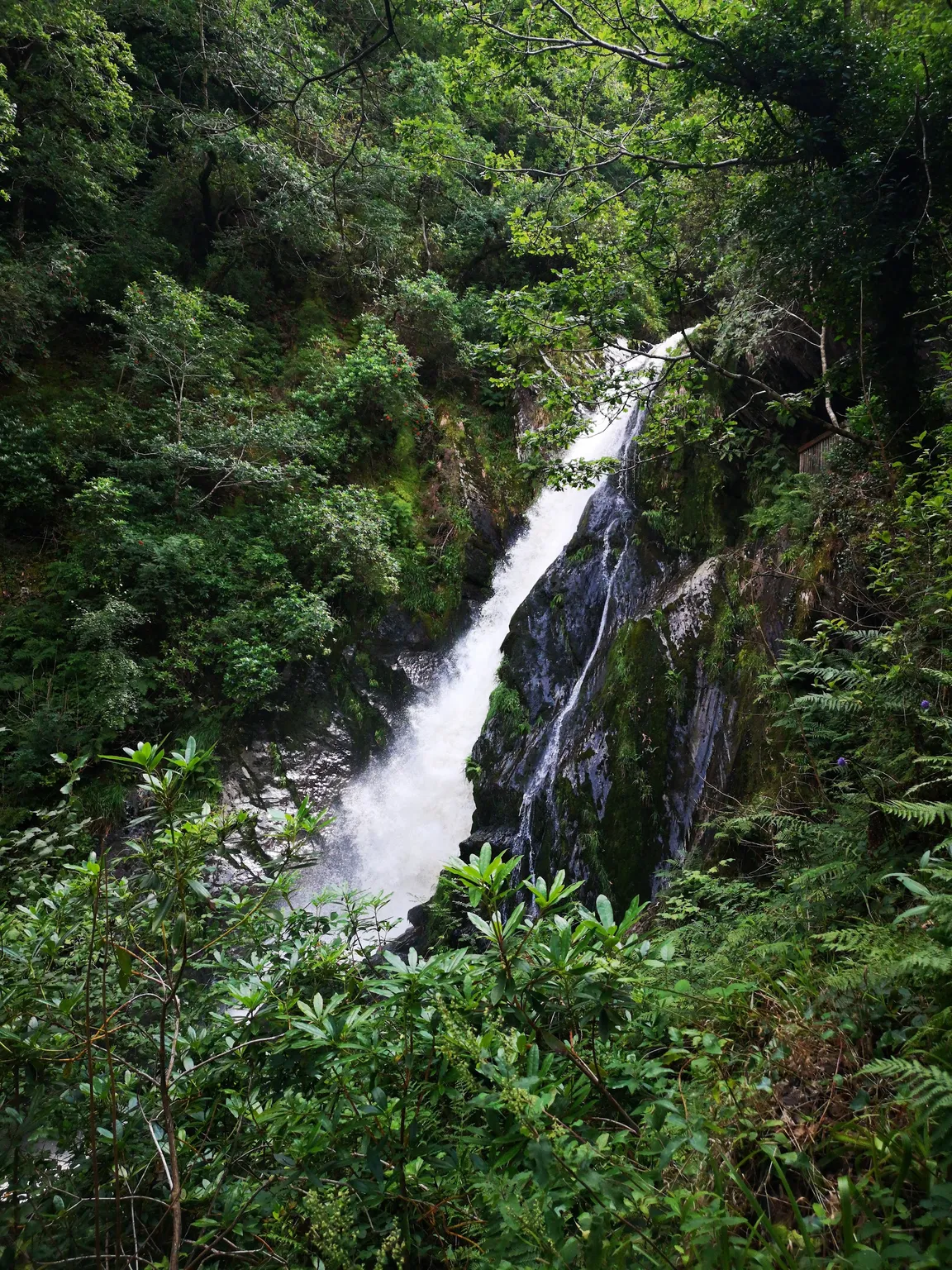 Devil's Bridge Waterfalls