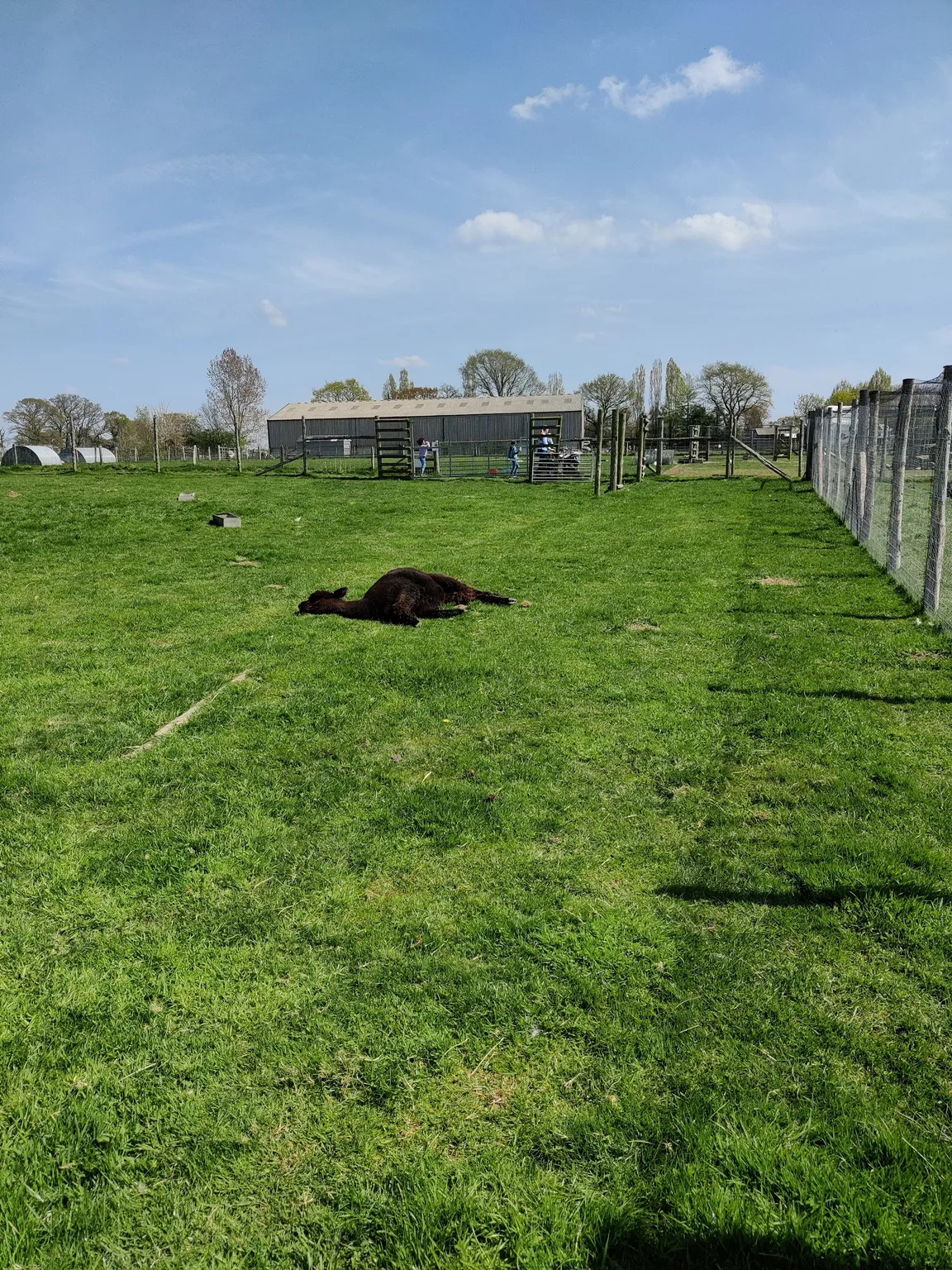 Farmer Palmer's Farm Park