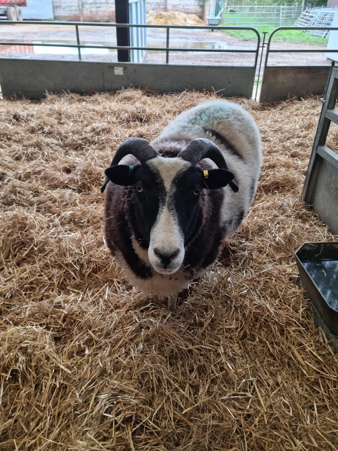 Odds Farm Park