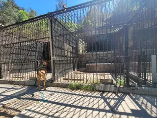 Old Los Angeles Zoo