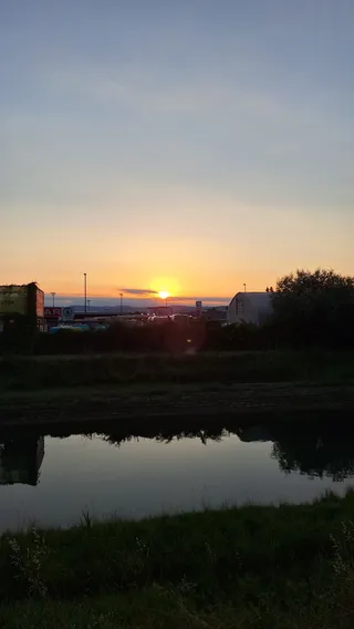 Badaševica