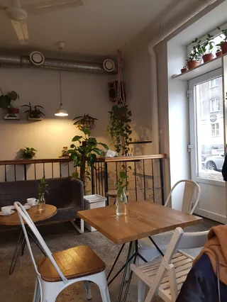 Roślina Cafe