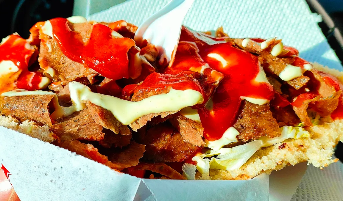 SANI KEBAB