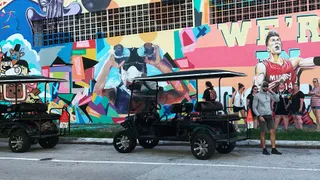 Miami Wynwood Arts District Graffiti Street Art Golf Cart Tour
