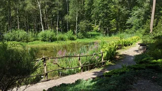 Leśne Arboretum Warmii i Mazur