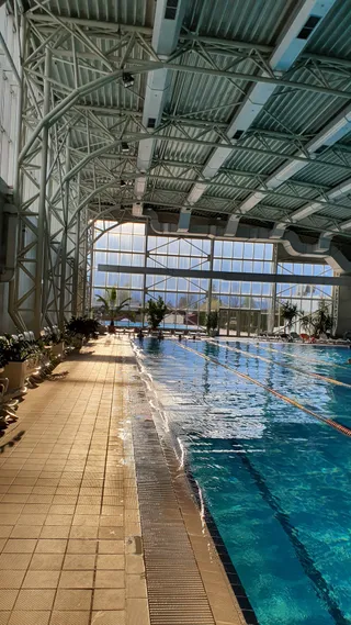 Aquatic Paradise