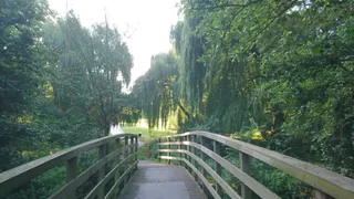 Toddler's Cove Playground