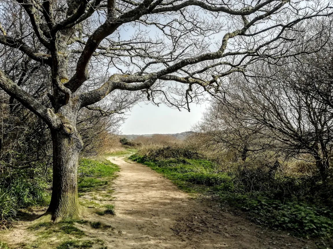 Hastings Country Park