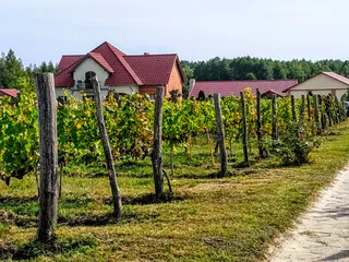Winnica Mozów